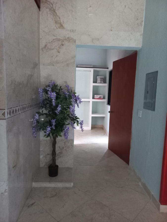 Departamento Tayde Lägenhet San José del Cabo Exteriör bild